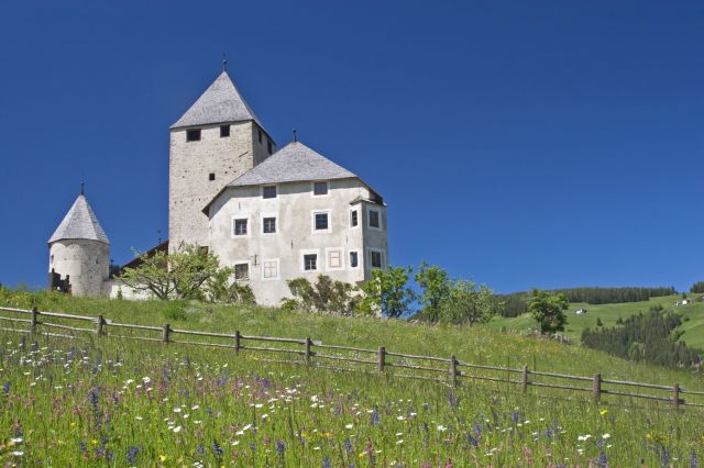 Immagine: Last minute